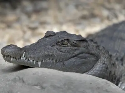 Лято на ръба с TravelLove: Пътувания, които ще те разтърсят