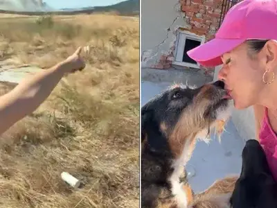 Меги Дерм: Герой на кучетата в битка с огъня!