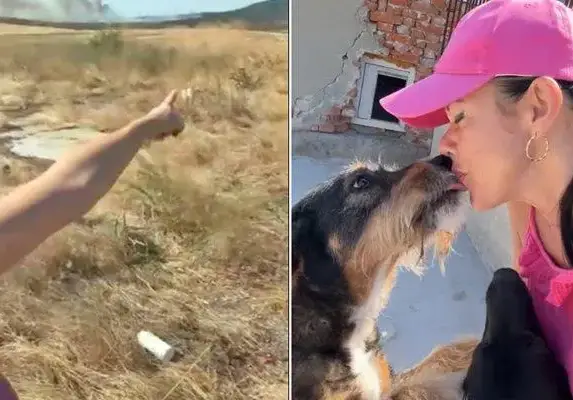 Меги Дерм: Герой на кучетата в битка с огъня!