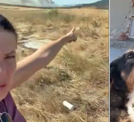 Меги Дерм: Герой на кучетата в битка с огъня!