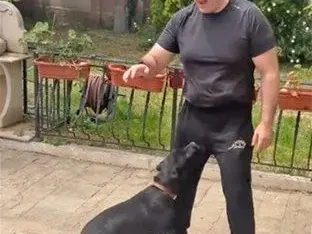 Митьо Очите кръсти кучето си на мъжа на Цеца Величкович