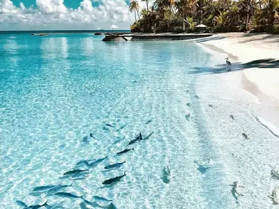 През следващата седмица в TravelLove: кози по дърветата, пумата чудо и Пипи на релси