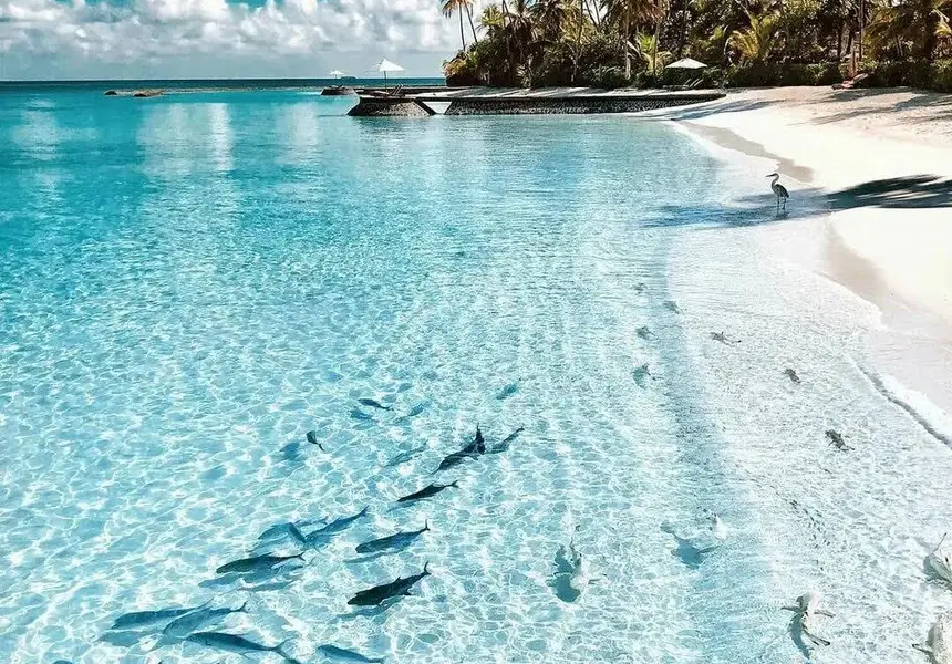 През следващата седмица в TravelLove: кози по дърветата, пумата чудо и Пипи на релси