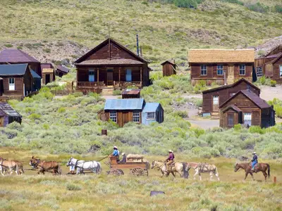 През следващата седмица в TravelLove: от бебета в самолета до злато в реките и музика в планините