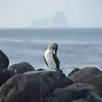  Travellove ти носи света в ръцете!