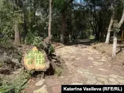 "Започват да бъдат нащрек". Как заплаха за продажба на парк в София събуди хората да го запазят