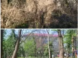 "Започват да бъдат нащрек". Как заплаха за продажба на парк в София събуди хората да го запазят