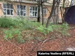 "Започват да бъдат нащрек". Как заплаха за продажба на парк в София събуди хората да го запазят