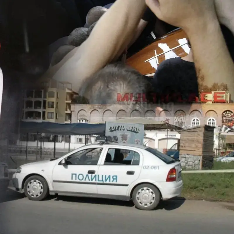 Бели птици и куршуми...