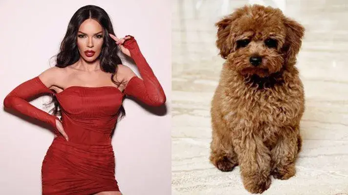 Галена влюбена в пуделче