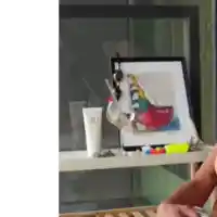 ГЛАД: Светлана Василева плати тока си с бърз кредит