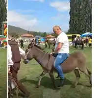 Краси Радков избира Мис Магарица