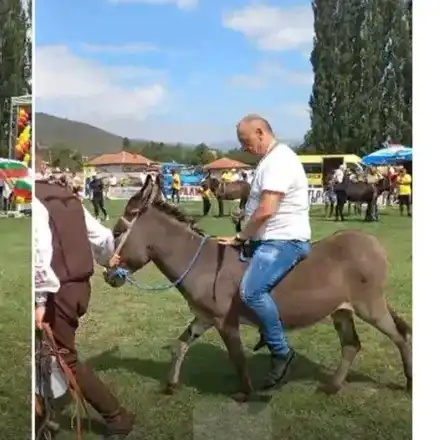 Краси Радков избира Мис Магарица