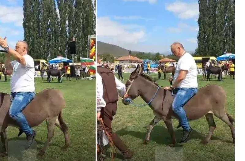 Краси Радков избира Мис Магарица