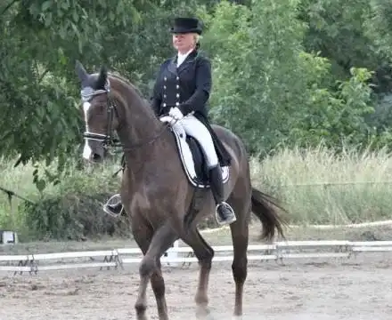 Тумор на мозъка  отнесе царицата на конния спорт у нас