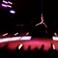 Трагедия в цирка: Артистка загина пред шокирани зрители в Германия!