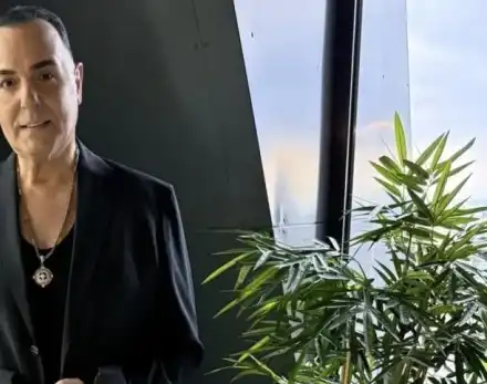 Драго Чая среща и нова любов