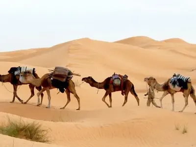 Шокиращи приключения от TravelLove: Мистерии и загадки в Лондон и България!