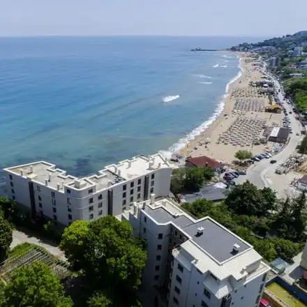 Украински строители изсякоха гора насред резервата „Златни пясъци“