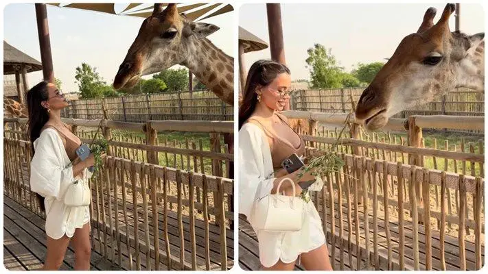 Шок! Десита храни жираф в Дубай и става звезда на сафари!