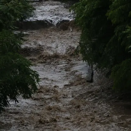 Скандал в София: Реките умират, а трагедията чака зад ъгъла!