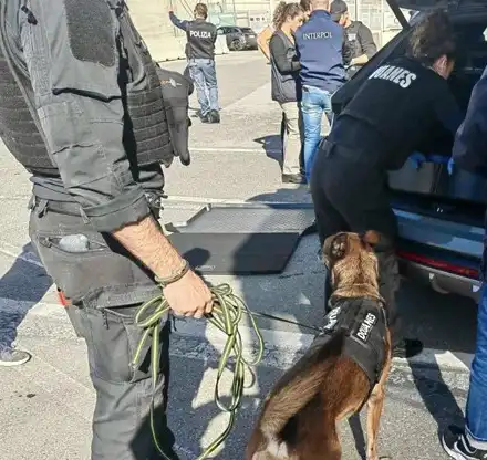 ГДБОП удари митница „Русе“, двама в ареста, финансов шеф обявен за издирване!