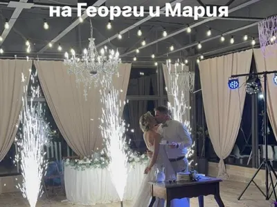 Георги Гешев от 'Игри на волята' каза 'Да' в приказна гора!