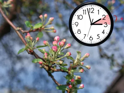 Скандал! Испания иска да спре смяната на времето от 2026!