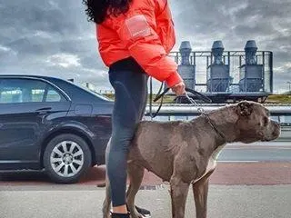 Шок! Маги Сидерова развъжда питбули и вдига скандал в София!