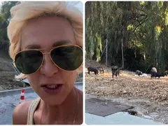 Нана Гладуиш бяга от диви прасета в Марбея