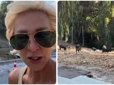 Нана Гладуиш бяга от диви прасета в Марбея