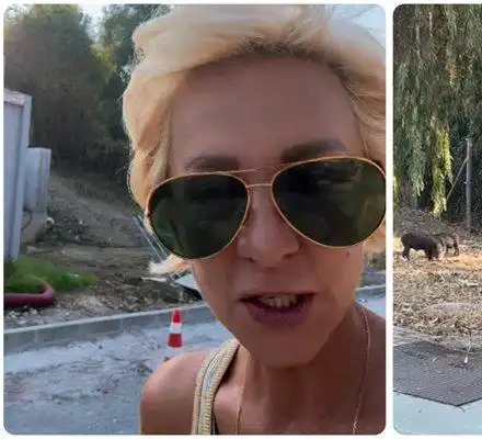 Нана Гладуиш бяга от диви прасета в Марбея