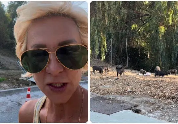 Нана Гладуиш бяга от диви прасета в Марбея