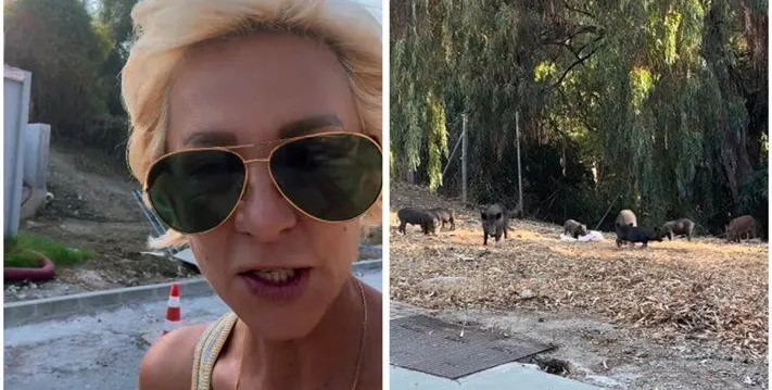 Нана Гладуиш бяга от диви прасета в Марбея