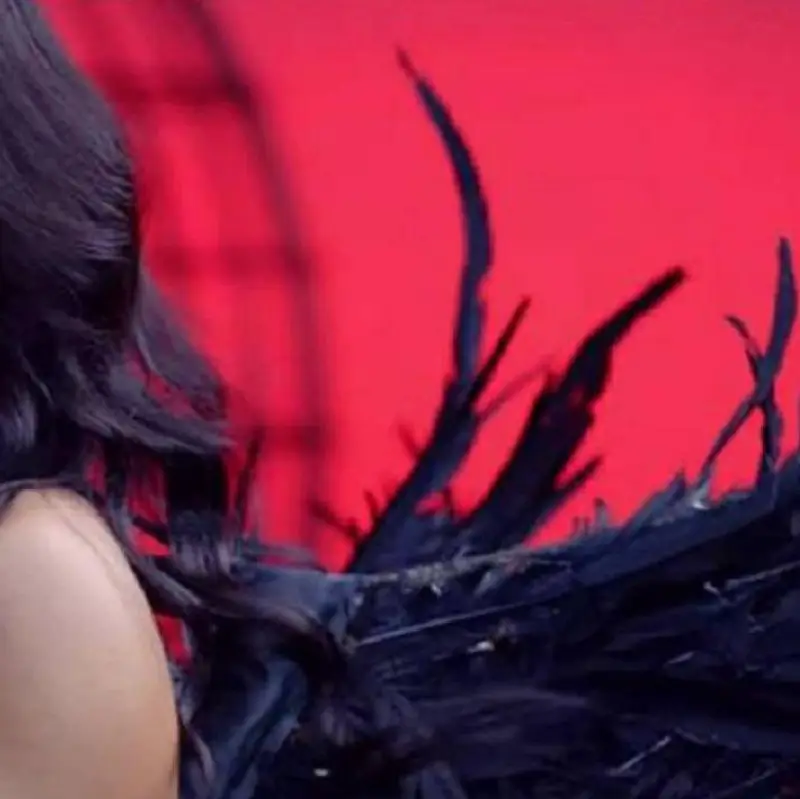 Шок! Фолкпевицата Джулия е Черната пантера на Шумен!