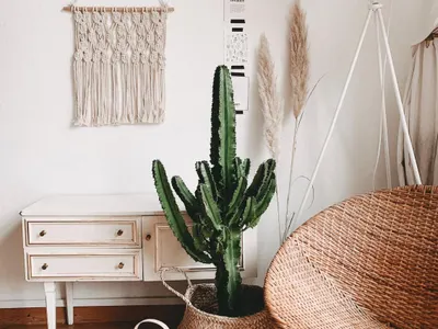 Разкрития за бохо стила: SuperMebeli с уникални предложения!