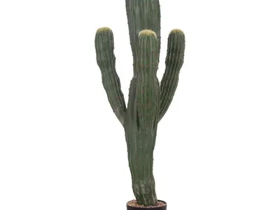 Разкрития за бохо стила: SuperMebeli с уникални предложения!