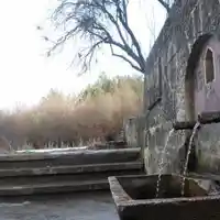 Родопска община удари цял свят в земята, постави световен рекорд с над 1000...