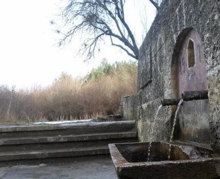 Родопска община удари цял свят в земята, постави световен рекорд с над 1000...