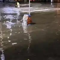 Силен дъжд наводни Варна, затвори автоподлези, а дърво падна върху движеща се кола (видео)