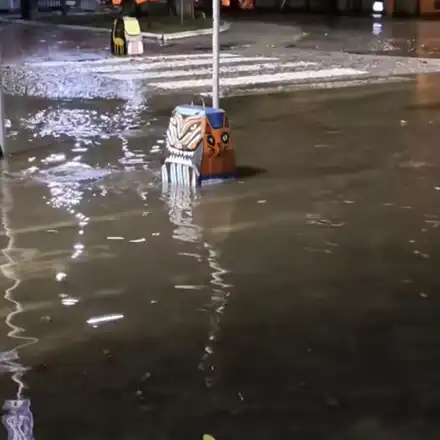 Силен дъжд наводни Варна, затвори автоподлези, а дърво падна върху движеща се кола (видео)