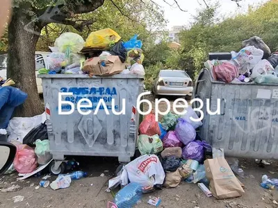 Скандал в София: Боклук и зарази заплашват жителите!