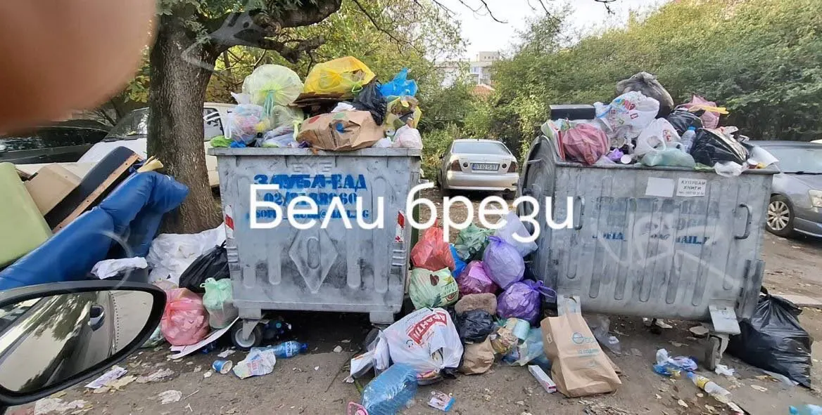 Скандал в София: Боклук и зарази заплашват жителите!