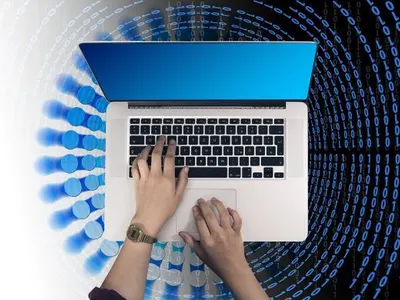 Шок! Спират Signal и Roblox – какво се случва?