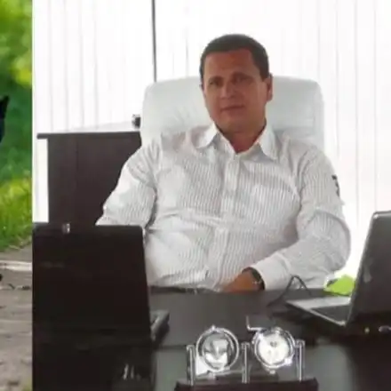 Черната пантера от Шумен  се оказа домашен любимец –  разхожда се навън, но се  прибира при стопанина си