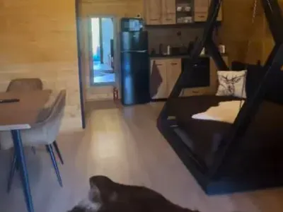 Дениз Хайрула В НЕСВЯСТ: Виктор обяви публично връзката си с Кристина! (показа и целувката им – СНИМКИ)