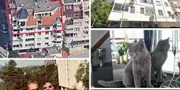 Евродепутат, прокурор и кмет участвали в гей оргии в дома на д-р Хасърджиев