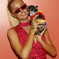 Шокираща самонадеяност: Парис Хилтън твърди, че е 'селф мейд'!