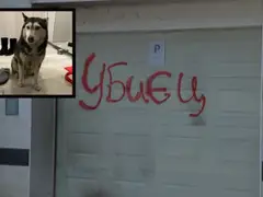 Шок! Лекар прегази куче, търсят справедливост в София!