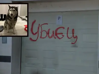 Шок! Лекар прегази куче, търсят справедливост в София!